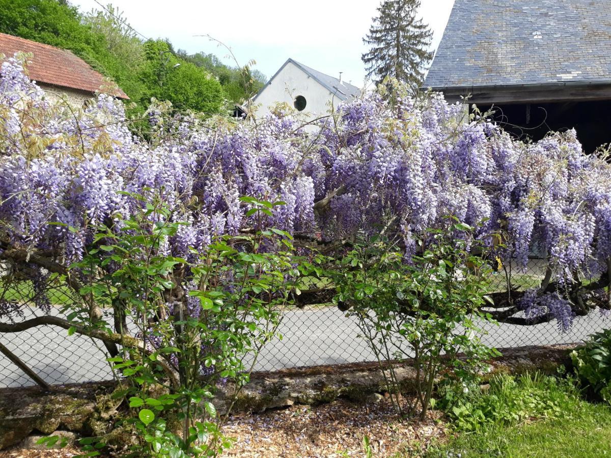 Village De Vie Saint-Vaury Exteriör bild
